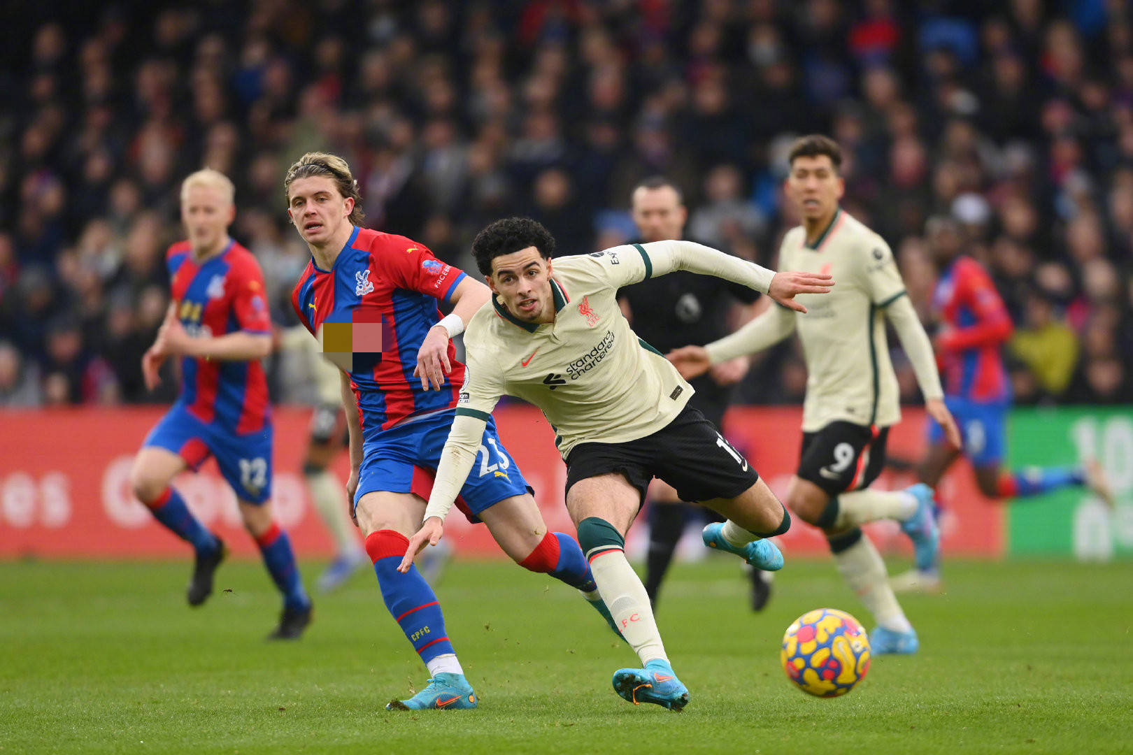 的表现分析 的表现分析